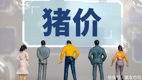 配资炒股合同 涨不停，猪价“倔强”上涨！附：6月25日猪价