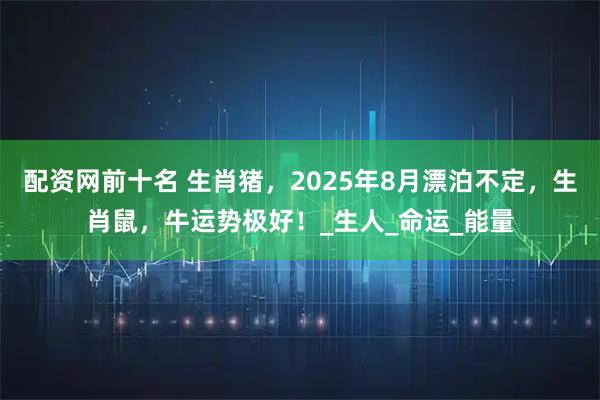 配资网前十名 生肖猪，2025年8月漂泊不定，生肖鼠，牛运势极好！_生人_命运_能量