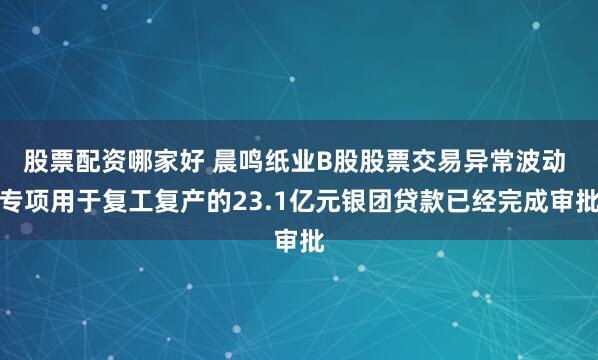 股票配资哪家好 晨鸣纸业B股股票交易异常波动 专项用于复工复产的23.1亿元银团贷款已经完成审批